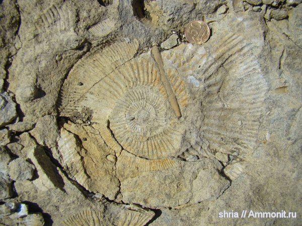 юра, Оренбургская область, Jurassic