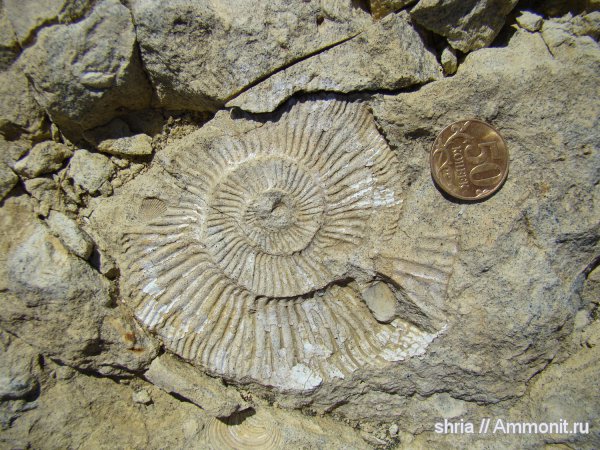 юра, Оренбургская область, Jurassic