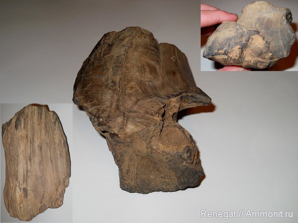 Собрано на Урале