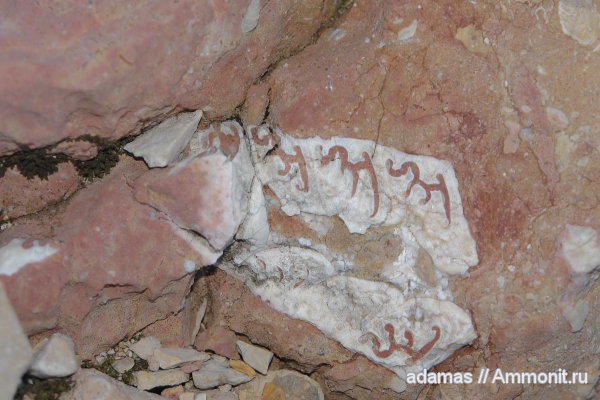 г.ОШТЕН - дно моря