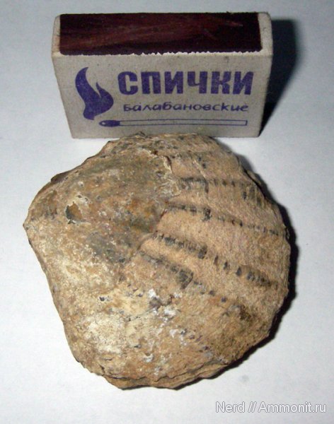 Мои находки