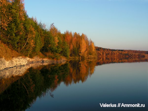 белемниты, карбон, юра, Щёлковский карьер, Jurassic, belemnites