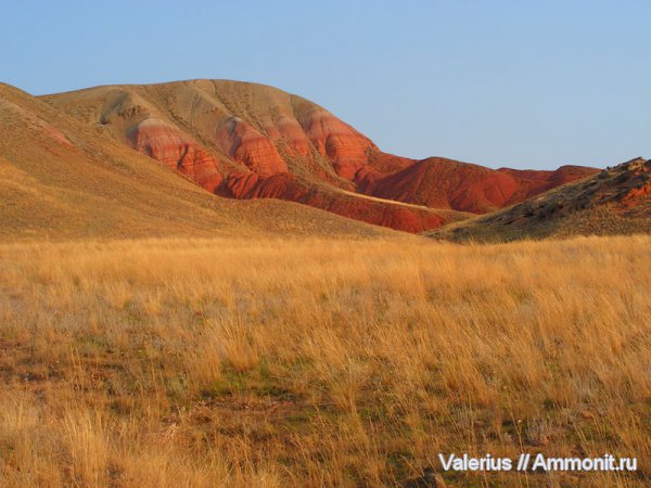 пермь, триас, мел, Богдо, лабиринтодонты, Cretaceous, Triassic, Permian