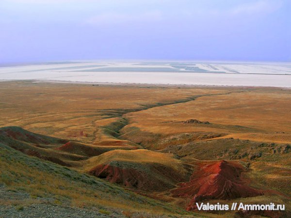 пермь, триас, мел, Богдо, лабиринтодонты, Cretaceous, Triassic, Permian