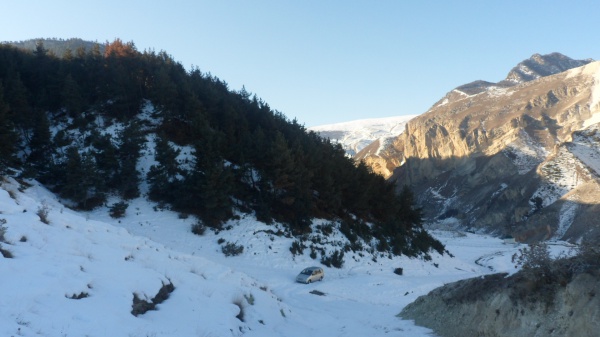 аммониты, Ammonites