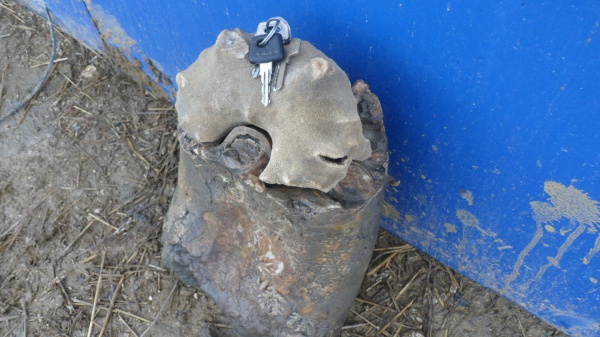 аммониты, Ammonites, Lytoceras