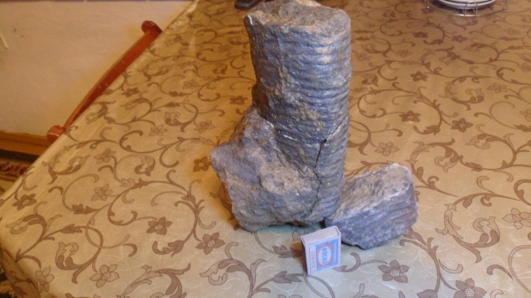 гетероморфные аммониты, heteromorph ammonites