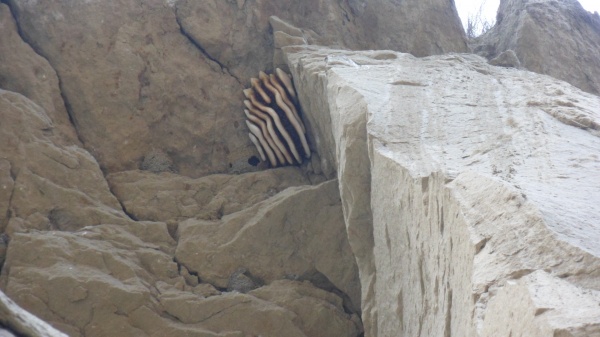 места находок