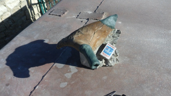 брюхоногие моллюски