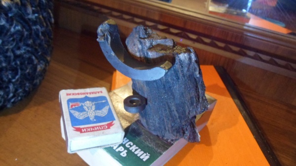 окаменевшее дерево