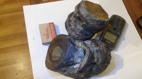 рептилии, водные рептилии, ихтиозавры