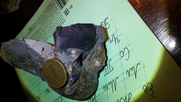 аптихи, ринхаптихи