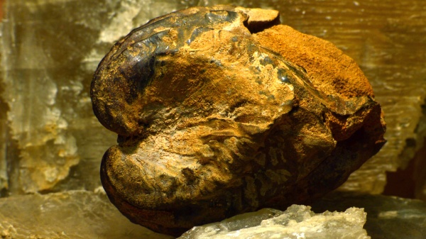 мел, Мангышлак