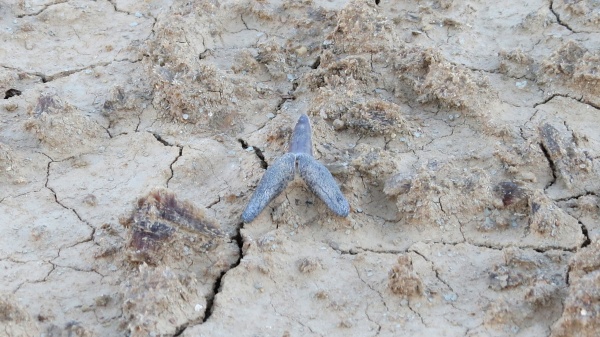 Мангышлак, впадина Карагие