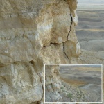 Ядро моллюска в скале. Тест^^