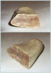Кусочек опализированной древесины