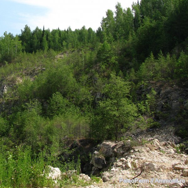 пермский период, артинский риф, Пермский край, Permian