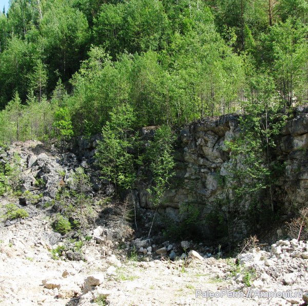 пермский период, артинский риф, Пермский край, Permian