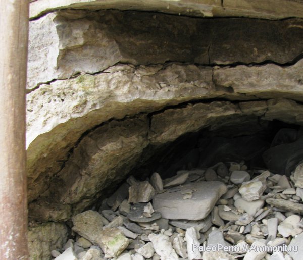 строматолиты, пермский период, Пермский край, уфимский ярус, Permian