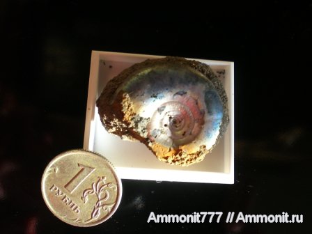 Филевский парк