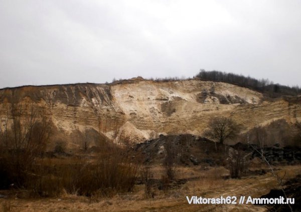 неоген, кайнозой, Воронов