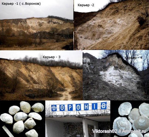 неоген, кайнозой, Воронов