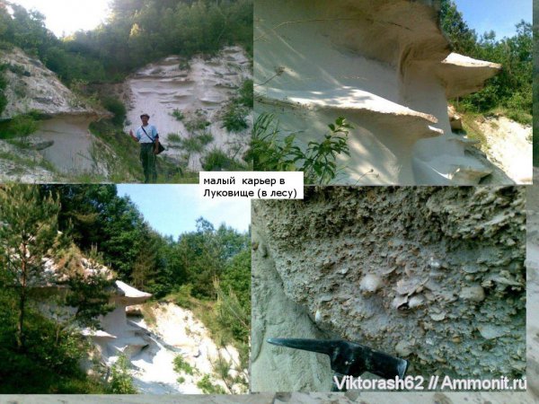 неоген, кайнозой