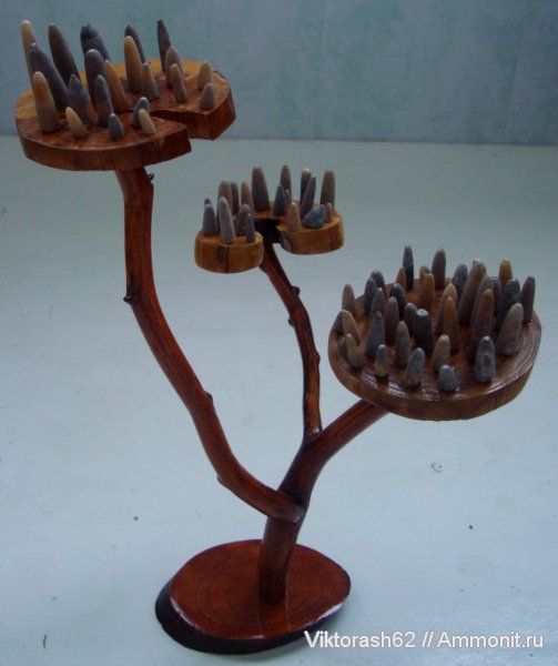 белемниты, мел, мезозой, Cretaceous, belemnites