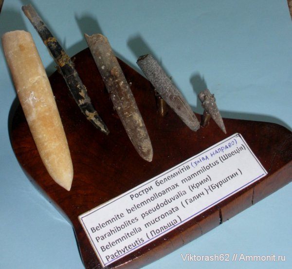 Находки 2011 года.