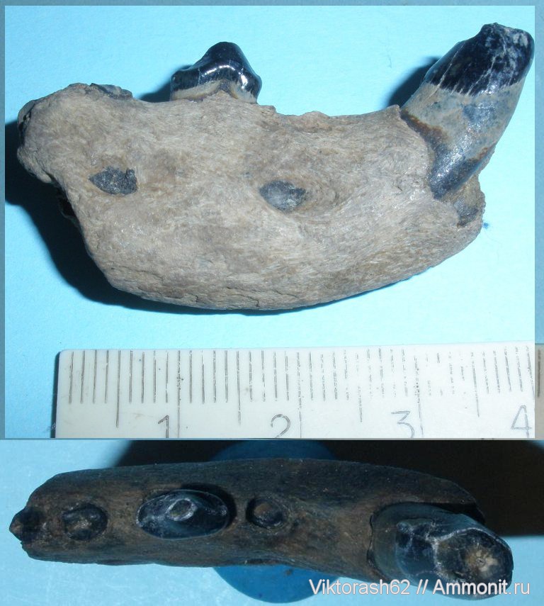 египет раскопки гробниц 2020. находка в египте 2020 саркофагов. последняя находка. последняя находка. о чем говорит археология.