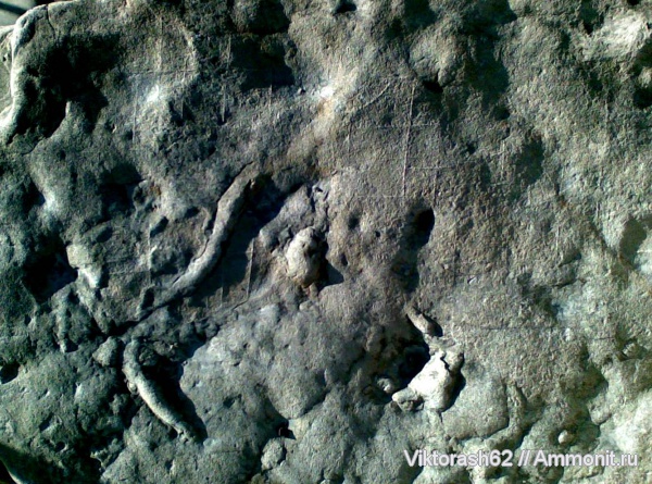 мел, мезозой, р. Ломница, Cretaceous