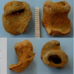 Губка меловая-2