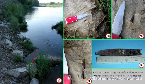 белемниты, мел, головоногие моллюски, мезозой, Быстрица, Cretaceous, belemnites