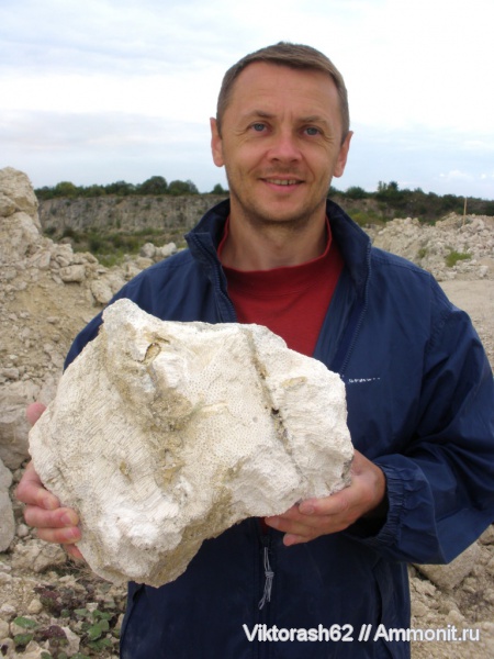 неоген, кораллы, кишечнополостные, кайнозой, Максимовка