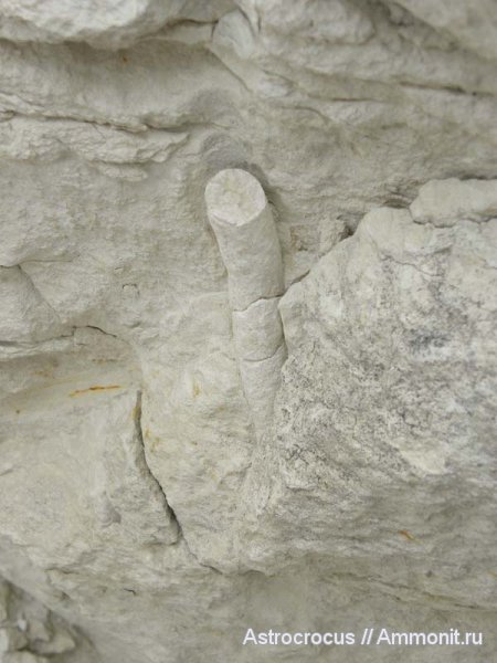 Ульяновская область, Самарская область, гора Форфос