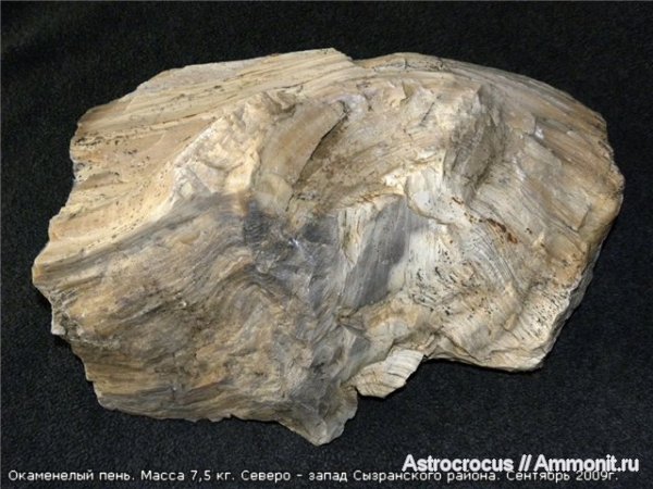 палеоген, Самарская область, Сызранский район