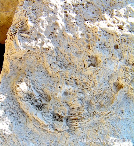 Самара, гора Тип-Тяв, Сокский карьер