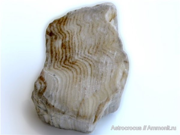 палеоген, Самарская область, Сызранский район, Трубетчины