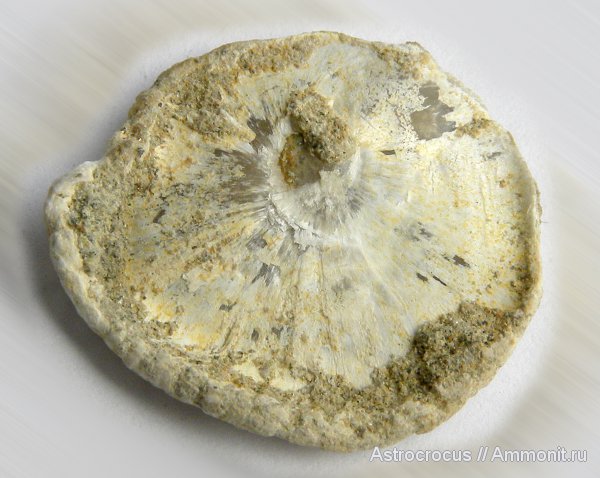 Самарская область, Кашпир, Сызранский район