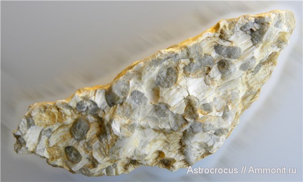 палеоген, Самарская область, древоточцы, Сызранский район, Трубетчины