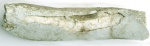Обломок  кости  млекопитающего (N1)  из отвалов рудника.