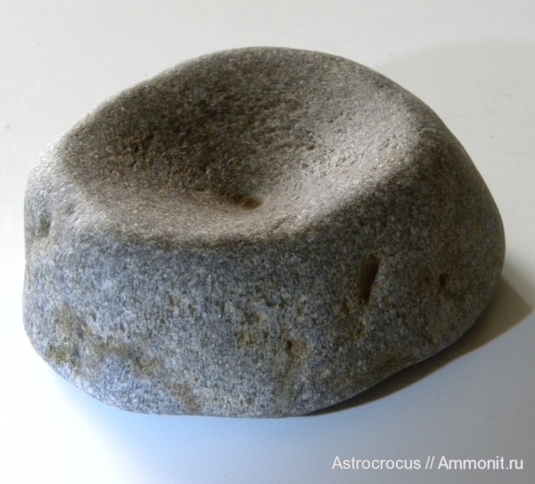 водные рептилии, ихтиозавры, Ундоры