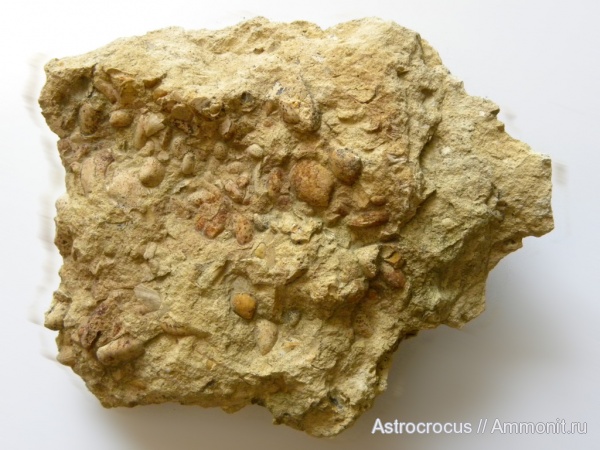 Новый Кувак