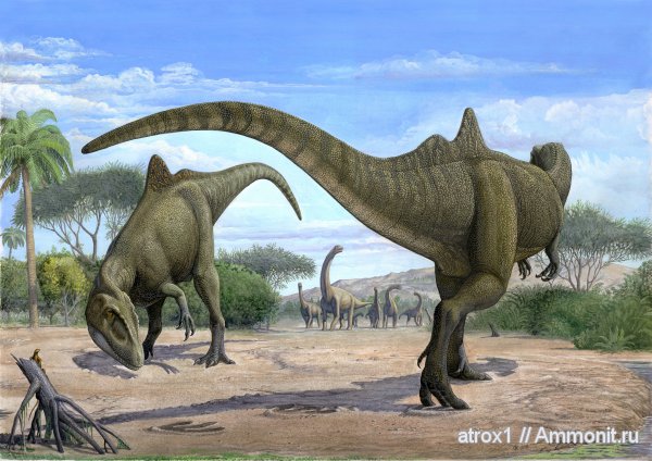 Concavenator, Dinosaurs