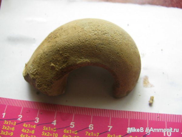 карбон, Донбасс