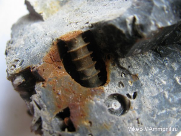 карбон, Донбасс