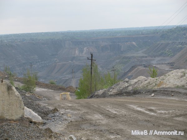 карбон, Донбасс