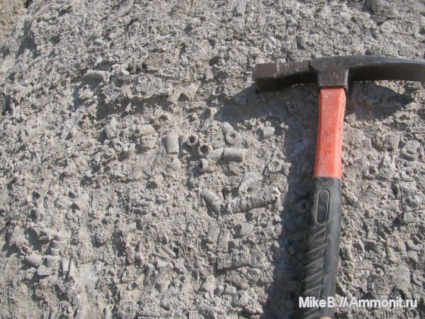 карбон, Донбасс