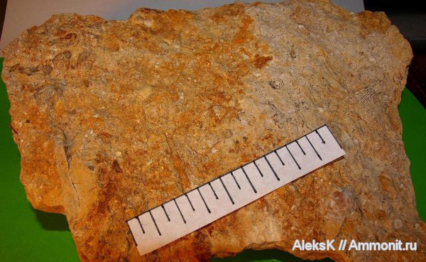 карбон, Калужская область