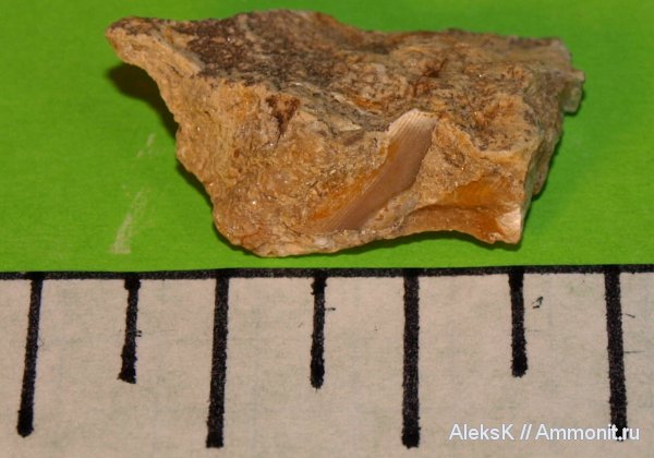 карбон, Калужская область